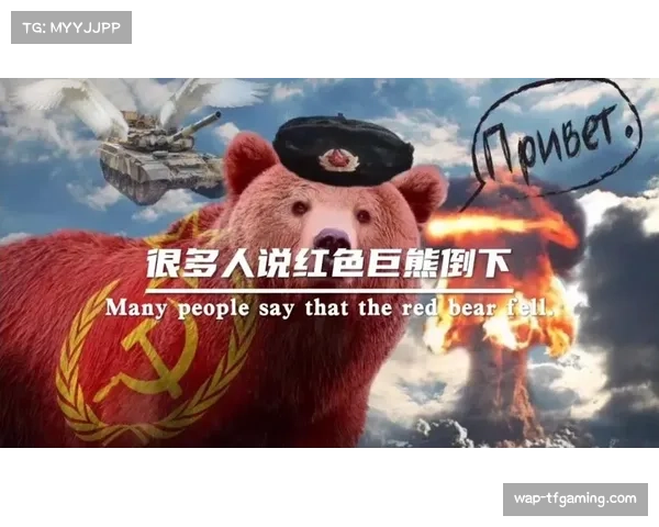 国联北区雄狮领跑 包装工维京人熊队争夺位置