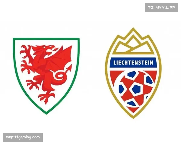 威尔士将战列支敦士登 有望提升小组排名